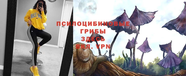 ALPHA-PVP Козельск