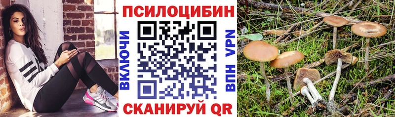Купить где  Хвалынск  Псилоцибиновые грибы Cubensis 
